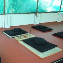 Kin-Hin Zen Meditation Center Image